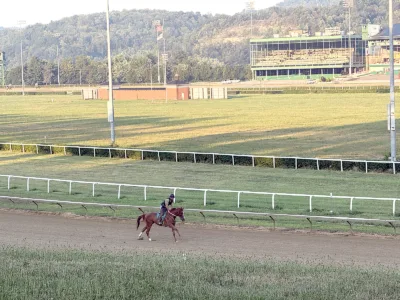 Racing product getting a boost at Mountaineer